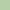 AGF Pure Solids Tender Green (PE-412) - sold by the half yard