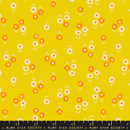 PRE-ORDER! Juicy by Melody Miller - Baby Flowers Golden Hour - sold by the half yard