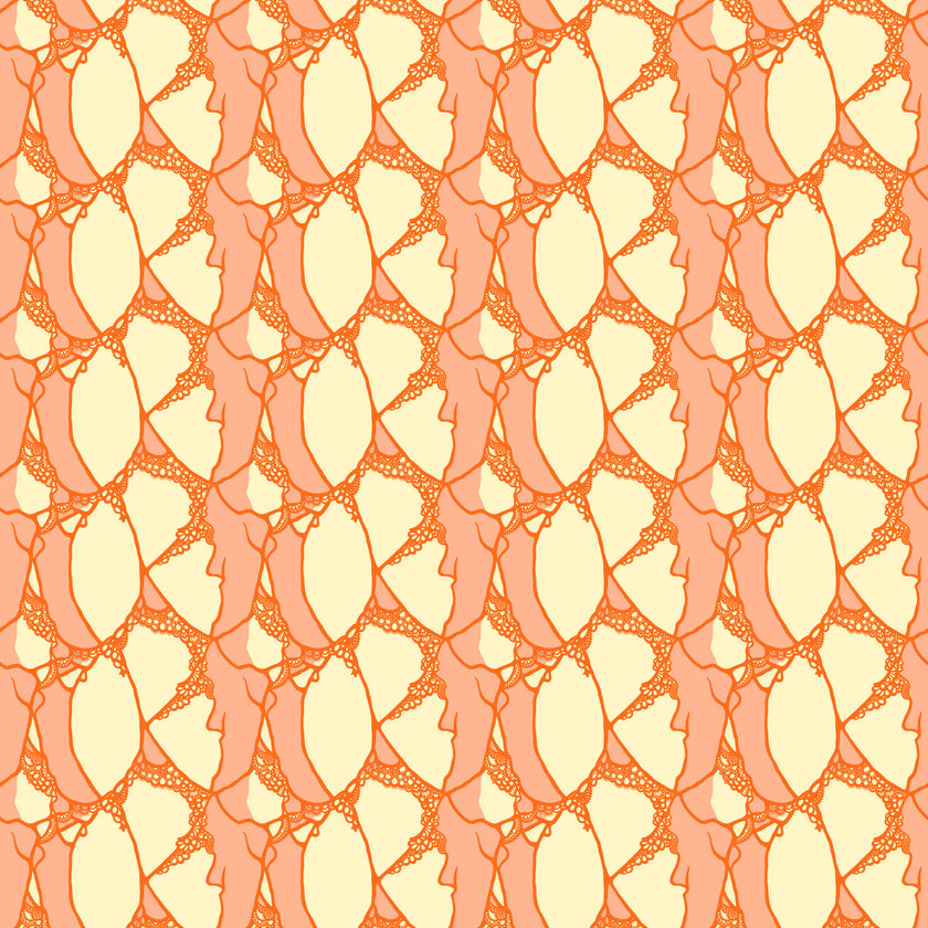 Wild Abandon by Heather Bailey - Entangled Blush - sold by the half yard